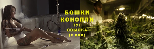 СК Аркадак