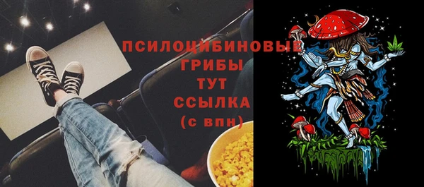 СК Аркадак