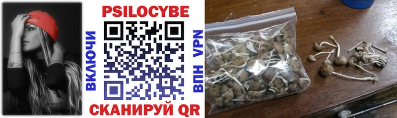 Купить закладки  Надым  Псилоцибиновые грибы мицелий 